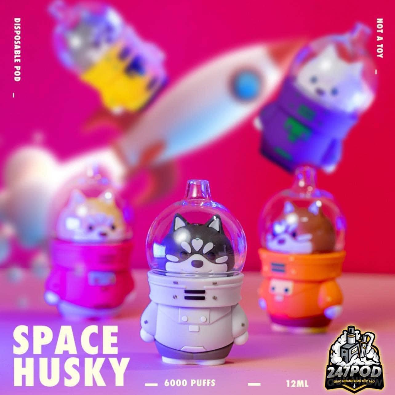 481471369_1003381548505498_3019779249343201602_n